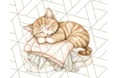 Cozy Laundry Day Clipart PNG Pastel Home Decor, Home Png Product Image 4