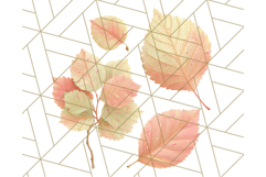 Fall Foliage Clipart PNG, Pink and Green Leaves Product Image 4