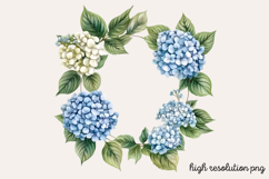 Hydrangea Watercolor Clipart PNG Product Image 1