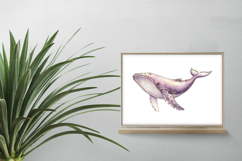 Cute Humpback Whale Ocean Giant PNG Summer Sea Animal Product Image 2