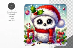 Christmas clipart, Owl clipart, Winter clipart Product Image 1