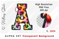 2 Rainbow Leopard Print Alpha Sets. Letters Numbers Clipart. Product Image 4