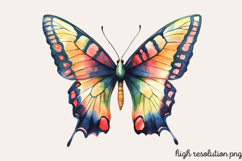 Colorful Spring Butterfly Clipart PNG Product Image 1