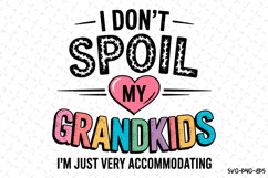 I Don&#039;t Spoil My Grandkids Svg | Quotes Svg | Svg Cut Files Product Image 1