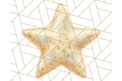 Cute Puffy Star Clipart PNG, 3D Glossy Pastel Stars Clip Art Product Image 4