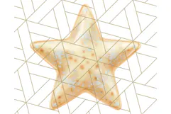 Cute Puffy Star Clipart PNG, 3D Glossy Pastel Stars Clip Art Product Image 4