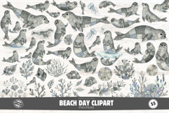 Summer Seal Clipart Product Image 1