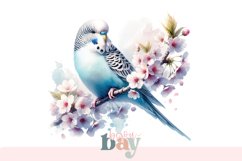 Watercolor Budgie Clipart, Digital Download Product Image 1