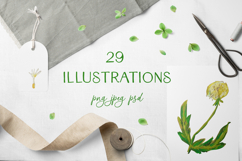 Cute Crayon Dandelion Flower Childlike Drawing Clipart Bundle Product Image 1