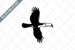 Toco Toucan Ramphastos Toco Common Toucan or Giant Toucan Product Image 1