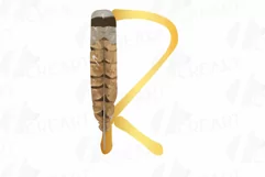 Tribal golden alphabet with feathers clip art, png files Product Image 26