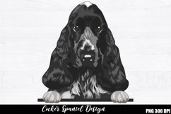 Cocker Spaniel Sublimation, Cocker Spaniel PNG design Product Image 1
