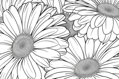 Black and White Drawing of Flowers Background Wallpaper Product Image 1
