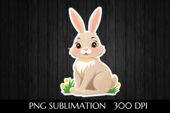 Charming Easter Bunny Product Image 1