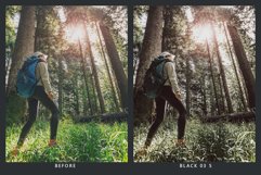20 Forestry Lightroom Presets &amp; LUTs Product Image 8
