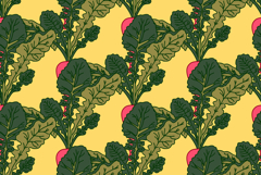 Botanical abstract seamless pattern with Radishs vector Product Image 1