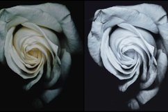 66 Matte B&amp;W Lightroom Presets Product Image 4