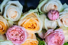 Beautiful floral card concept with fresh roses Product Image 1