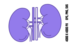 Colored Kidneys Icon Product Image 1