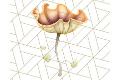 Mushroom Clipart, Realistic Forest Mushrooms PNG Product Image 5