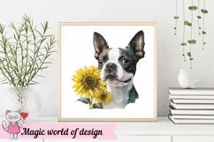 Boston Terrier Dog with Sunflower png, Sublimation design Product Image 3