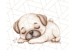 Pug Clipart PNG, Cute Dog Art, Funny Puppy Illustration Png Product Image 5