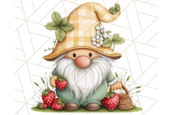 Summer Garden Gnomes Clipart PNG, Summer Country Gnomes Png Product Image 5
