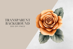 Watercolor Terracotta Flowers Clipart, PNG. Product Image 2