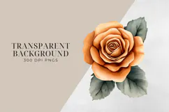 Watercolor Terracotta Flowers Clipart, PNG. Product Image 2