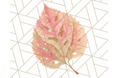 Fall Foliage Clipart PNG, Pink and Green Leaves Product Image 5
