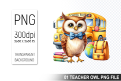 Teacher Owl Clipart PNG, Cute Owl, Digital Download File Product Image 1