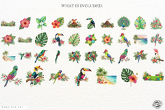 Summer Tropical Birds Clipart Product Image 4