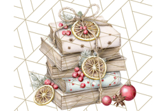 Christmas Book Clipart, Festive Reading PNG Illustrations Product Image 5