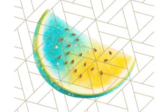 Sky Blue and Sunshine Yellow Summer Clipart PNG, Tropical Product Image 5