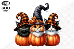 Halloween Cat And Pumpkin Sublimation - Clipart PNG Design Product Image 1