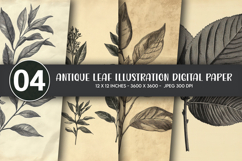 Antique Leaf Illustration Digital Paper Product Image 1