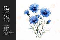 Watercolor blue cornflowers clipart sublimation Product Image 1