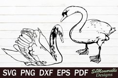 Swans SVG cut file, Swans svg design Product Image 1