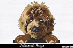 Labradoodle Sublimation, Labradoodle PNG design Product Image 1