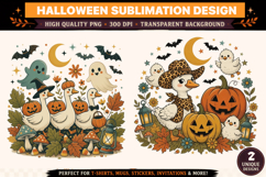 Halloween Duck Pumpkin Ghost PNG | Witch Goose Sublimation Product Image 1