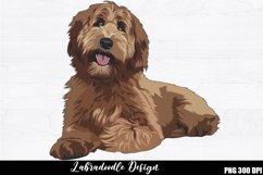 Labradoodle Sublimation, Labradoodle PNG design Product Image 1