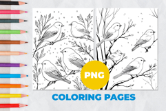 Birds on a branch Coloring Pages | Coloring book Product Image 1