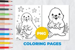Seal with a starfish Coloring Page | Coloring book Product Image 1