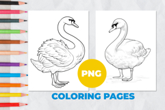 Swan Coloring Pages | Coloring book Product Image 1