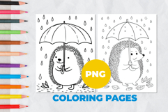Hedgehog in the rain Coloring Pages | Coloring book Product Image 1