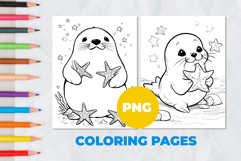 Seal with a starfish Coloring Page | Coloring book Product Image 1
