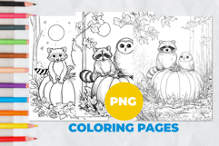 Owl and raccoon with pumpkin Coloring Pages | Coloring book Product Image 1