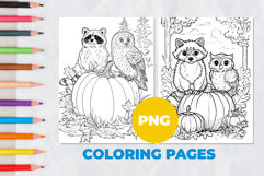Owl and raccoon with pumpkin Coloring Pages | Coloring book Product Image 1