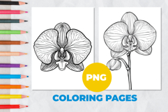Orchids Coloring Pages | Coloring book Product Image 1