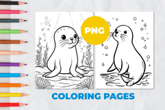 Seal Coloring Page | Coloring book Product Image 1